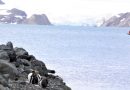 Biomarcadores indicam presença de esgoto e combustível fóssil no ambiente da Antártica