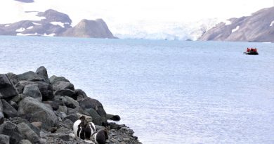 Biomarcadores indicam presença de esgoto e combustível fóssil no ambiente da Antártica